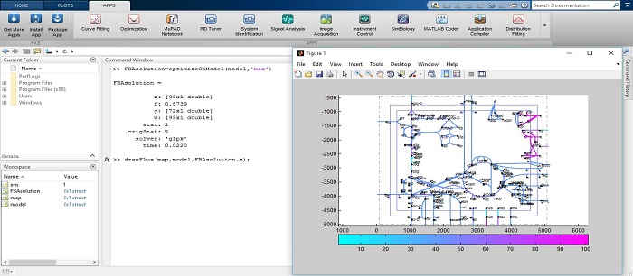 Constraint-based Modeling